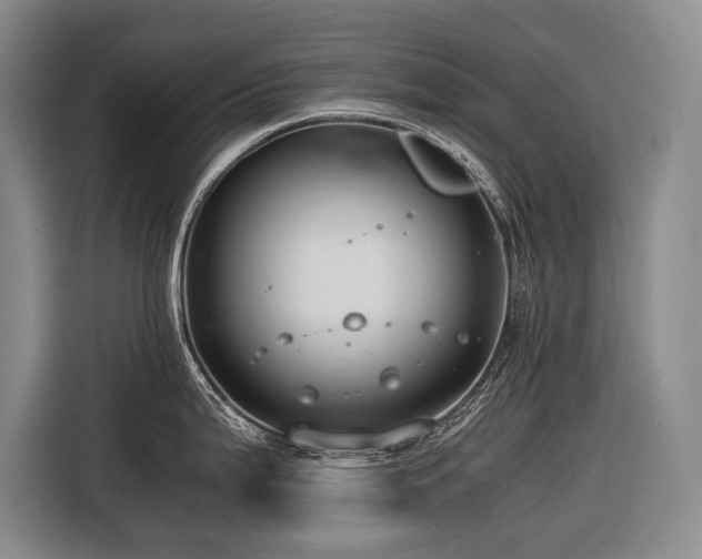 X0000116641199200912141229