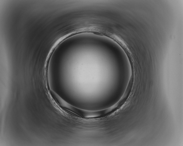 X0000116641200200912141229