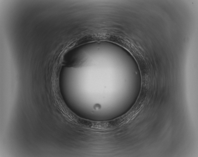 X0000116641201200912141228