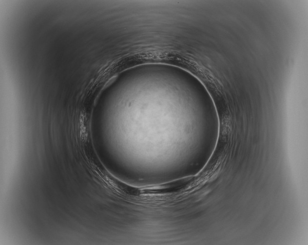 X0000116641202200912141228