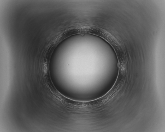 X0000116641204200912141228