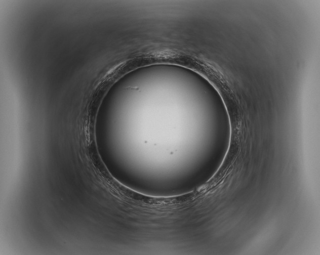 X0000116641205200912141228