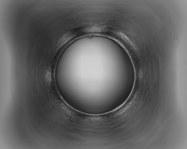 X0000116641209200912141228