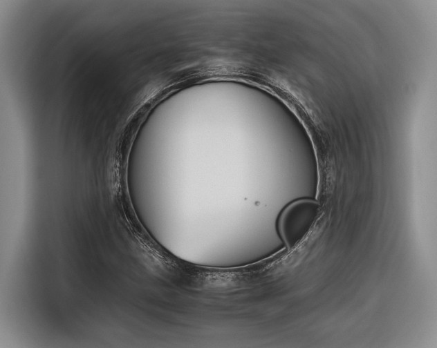 X0000116641211200912141228