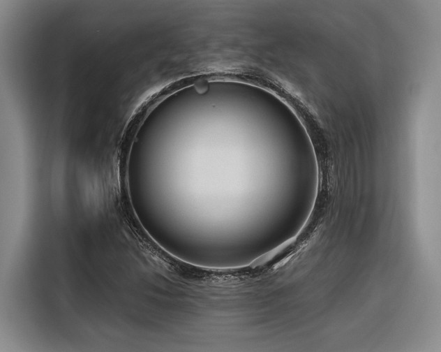 X0000116641214200912141229