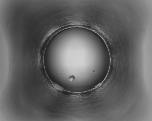 X0000116641215200912141229