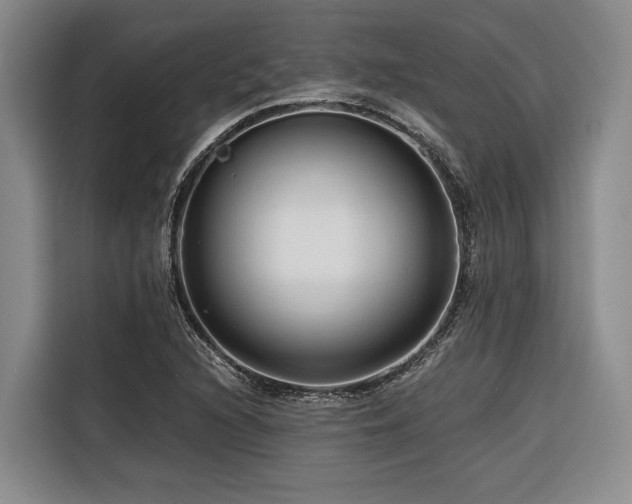 X0000116641216200912141229