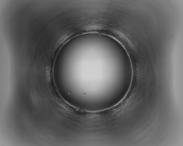 X0000116641217200912141229