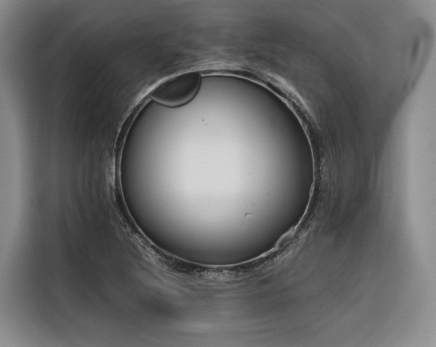 X0000116641220200912141229