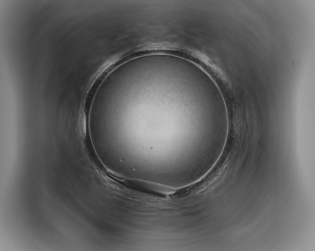 X0000116641221200912141229