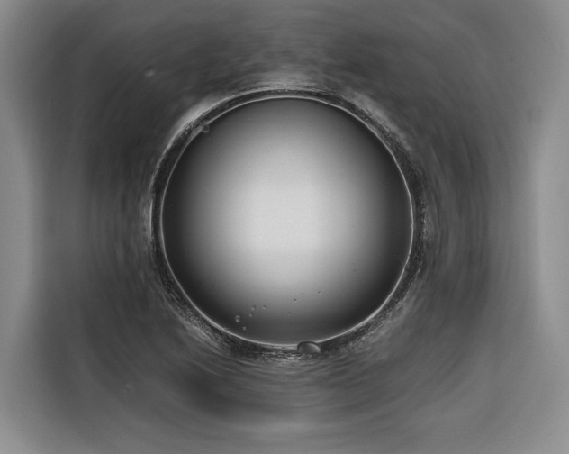 X0000116641222200912141229