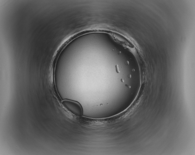 X0000116641224200912141229