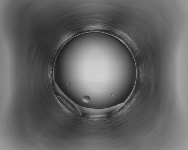 X0000116641225200912141229