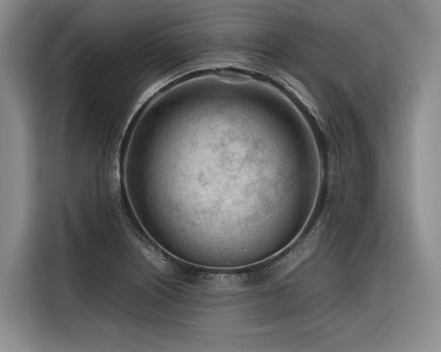 X0000116641226200912141229