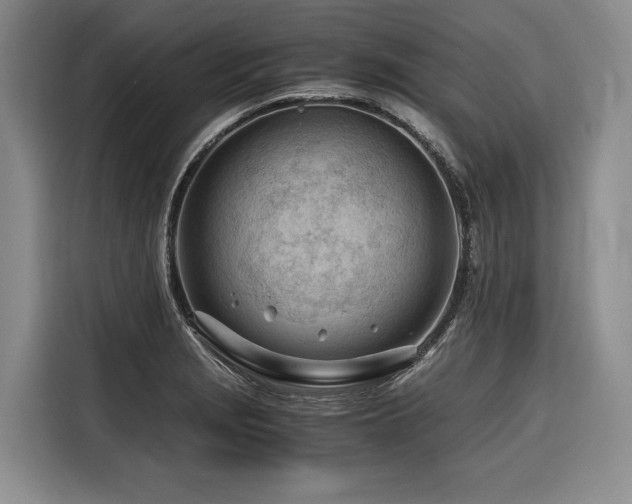 X0000116641229200912141229