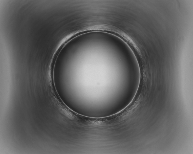 X0000116641230200912141229