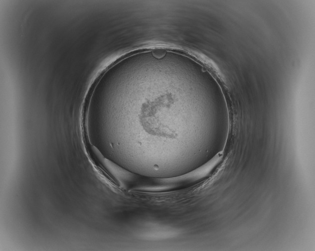 X0000116641231200912141229