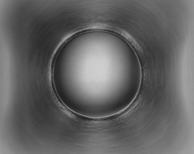 X0000116641232200912141229