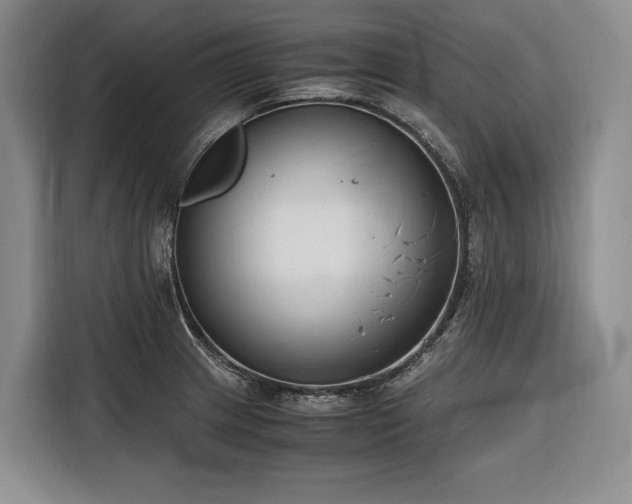 X0000116641233200912141229