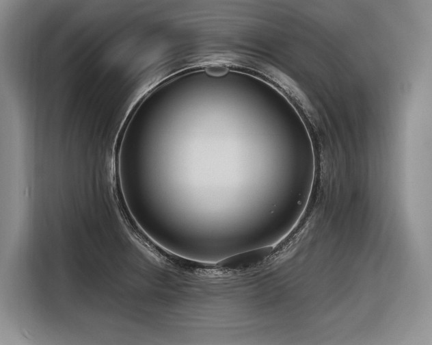 X0000116641234200912141229