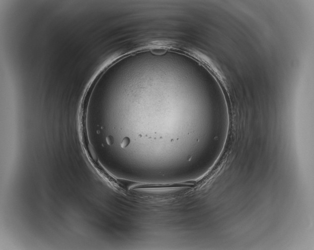 X0000116641235200912141229