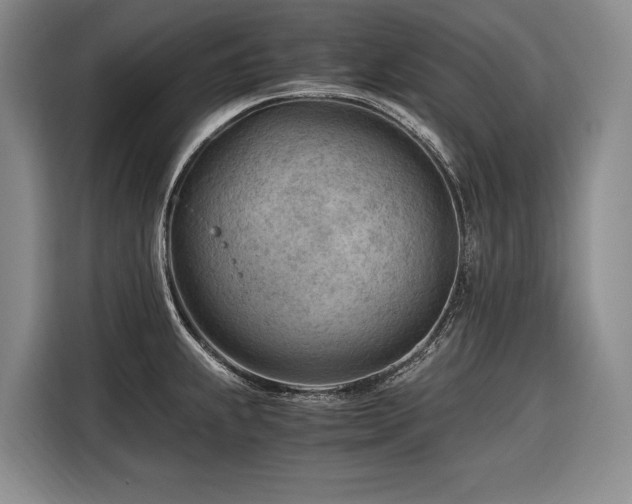 X0000116641239200912141229