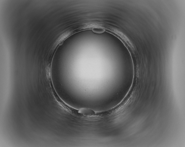 X0000116641241200912141229