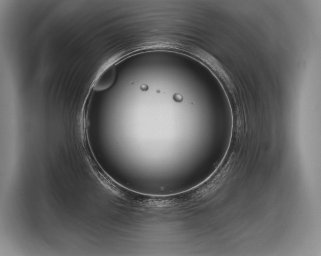 X0000116641242200912141229