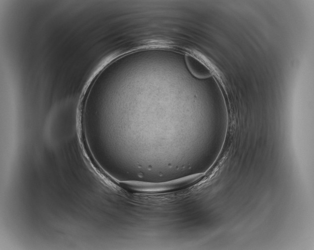 X0000116641243200912141229