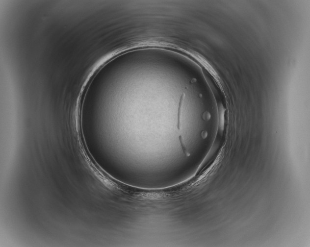 X0000116641246200912141229