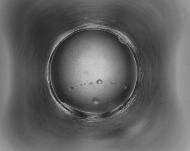 X0000116641247200912141229