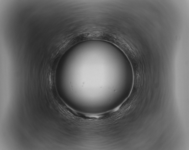 X0000116641250200912141228