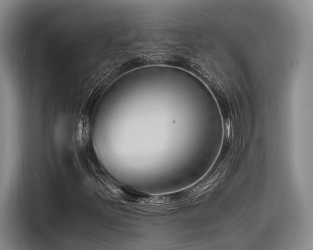 X0000116641251200912141228