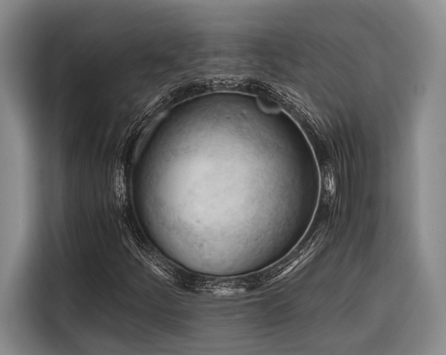 X0000116641252200912141228