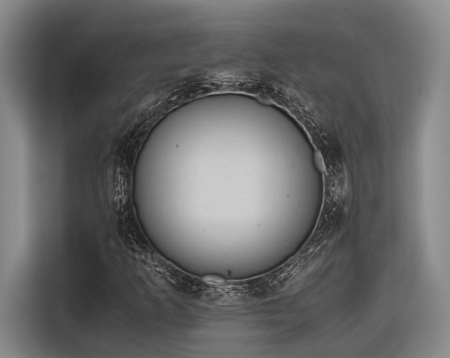 X0000116641253200912141228