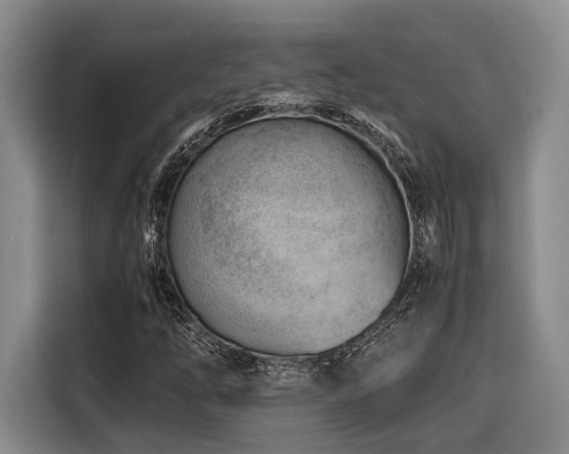 X0000116641254200912141228