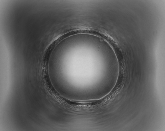 X0000116641255200912141228