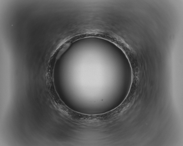 X0000116641256200912141228