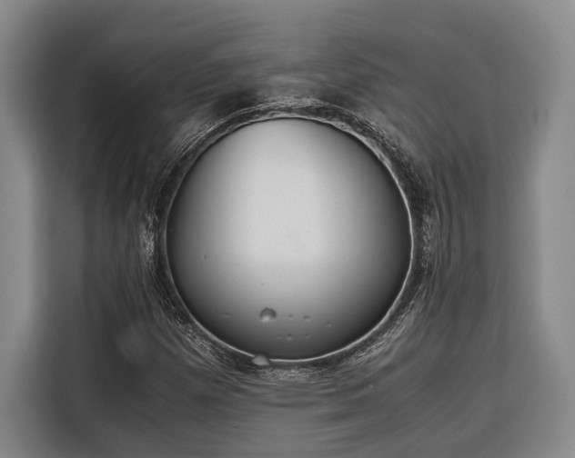 X0000116641257200912141228