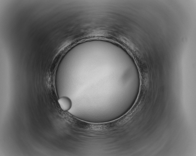 X0000116641258200912141228