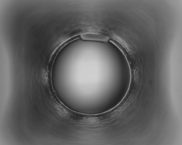 X0000116641260200912141228