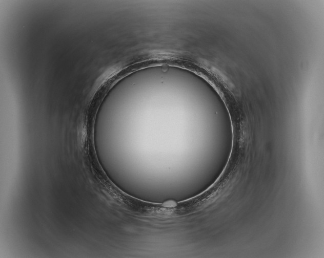 X0000116641261200912141228