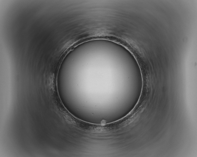 X0000116641265200912141228