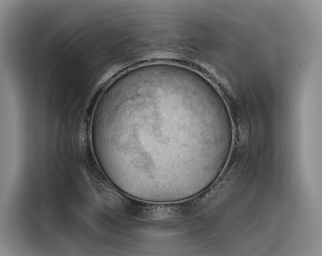 X0000116641266200912141228