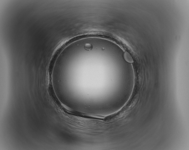 X0000116641267200912141228