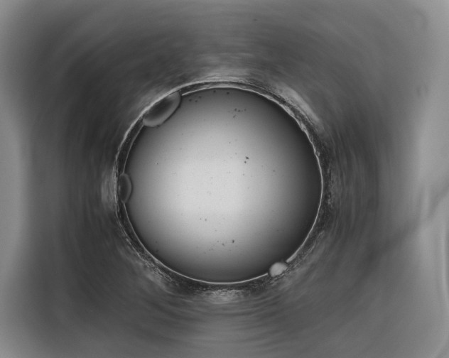 X0000116641268200912141228