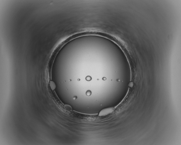 X0000116641271200912141228