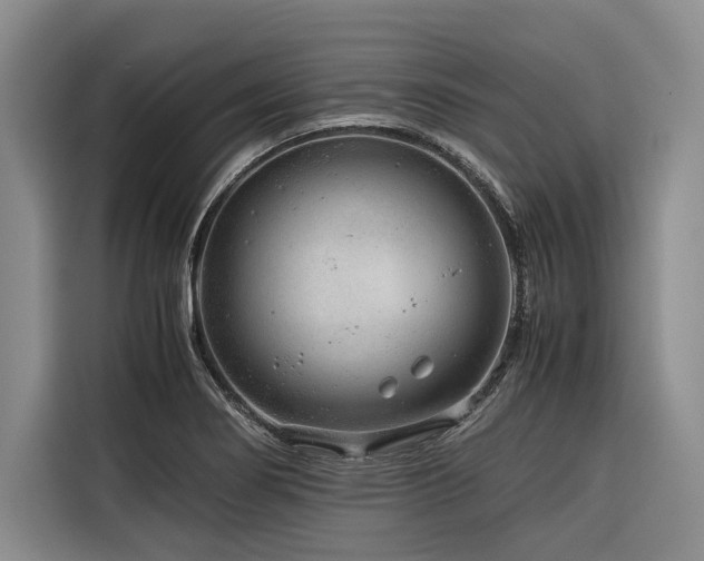 X0000116641274200912141228