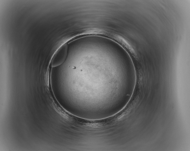 X0000116641276200912141228