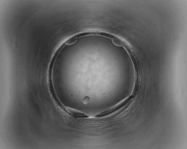 X0000116641279200912141228